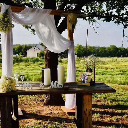 Beautiful Farmhouse W/ Pool On 6 Acres Ranch Aubrey المظهر الخارجي الصورة