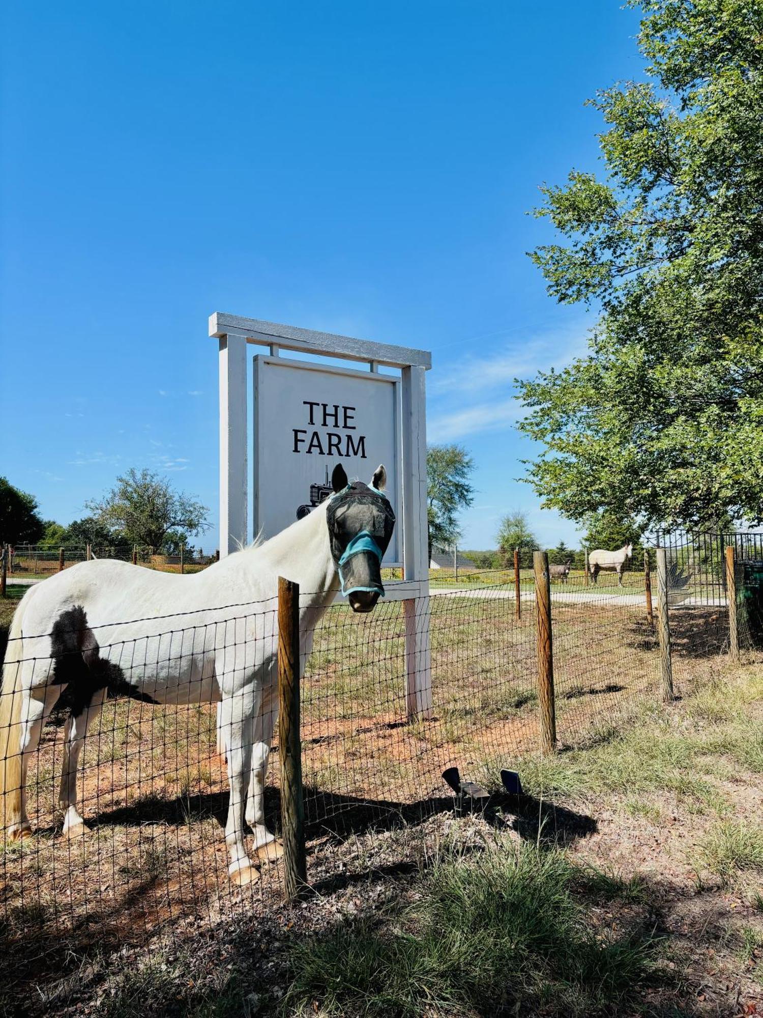 Beautiful Farmhouse W/ Pool On 6 Acres Ranch Aubrey المظهر الخارجي الصورة